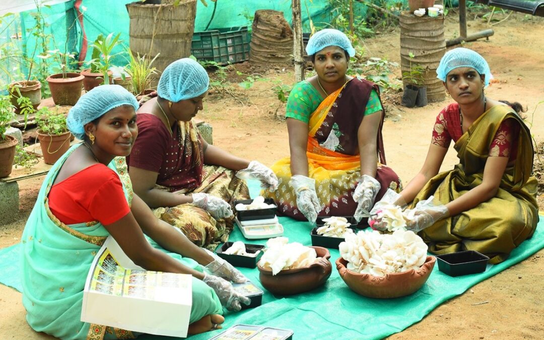 How IoT Helps Beneficiaries to Cultivate Mushroom